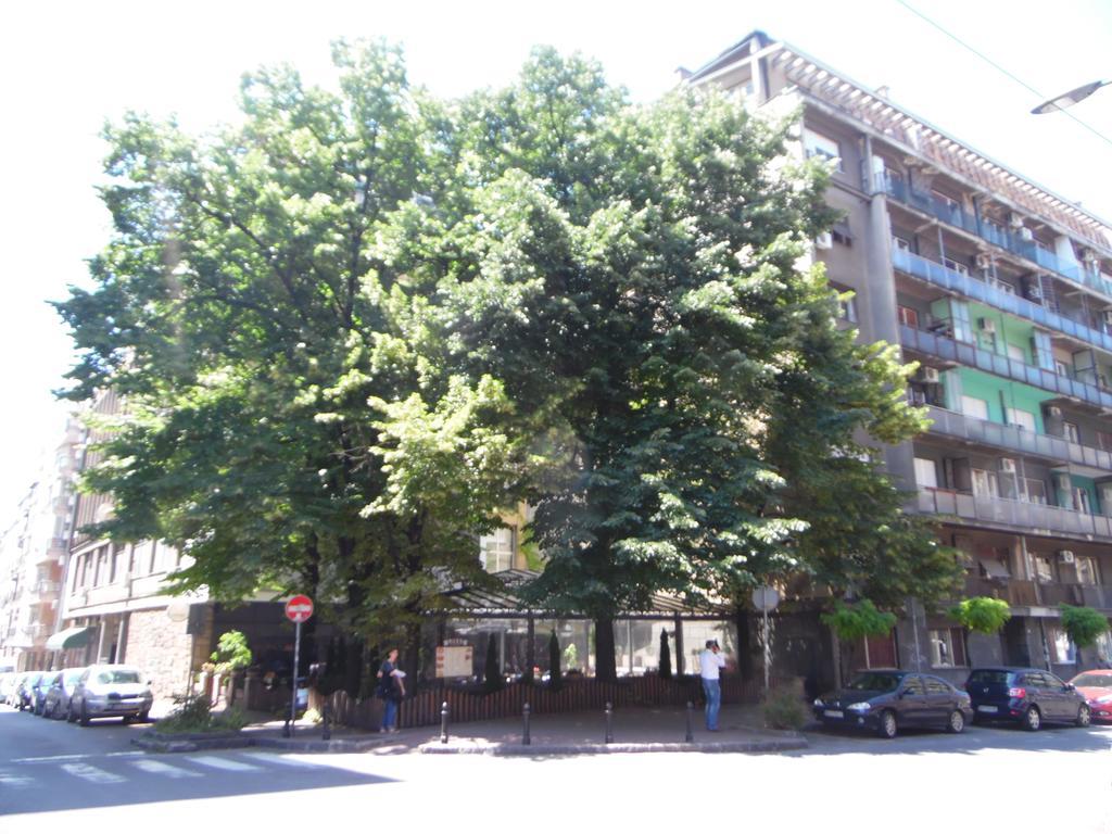 Apartment Vracar Белград Экстерьер фото